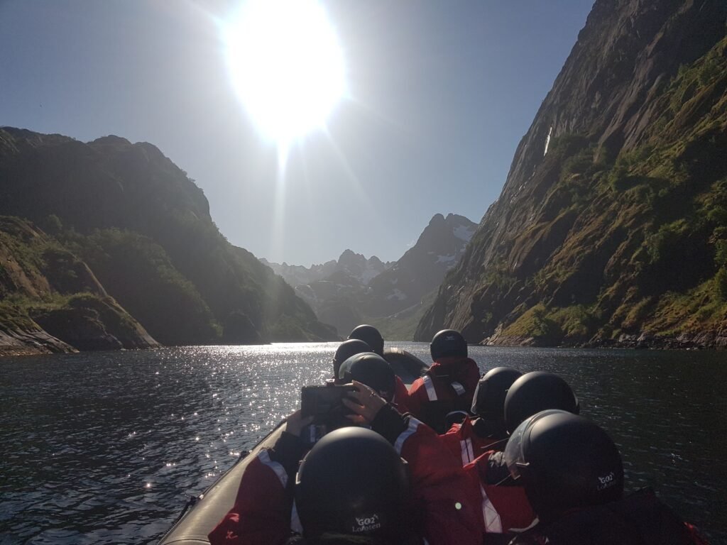 Trollfjord havørn safari